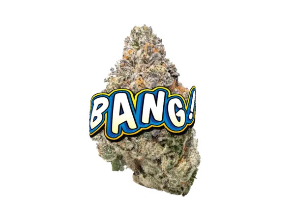 BANG! - Image 2