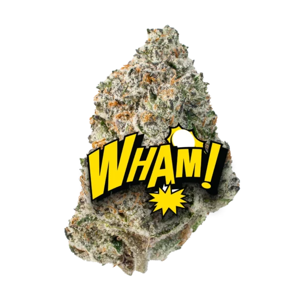 WHAM! - Image 2