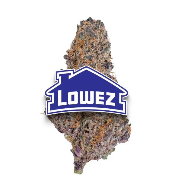 Blue Cherry Gelato - Image 2