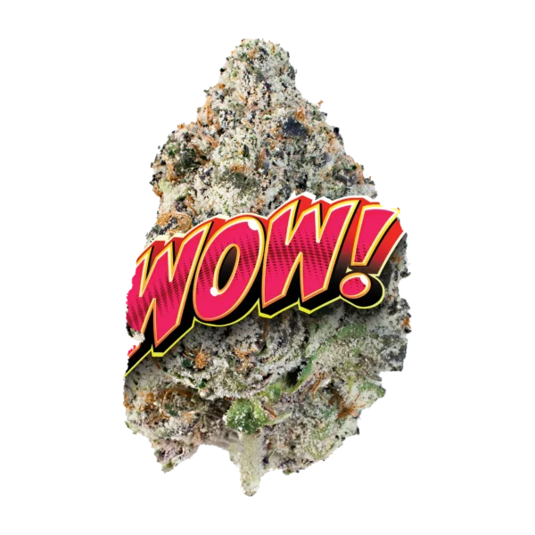 WOW! - Image 2
