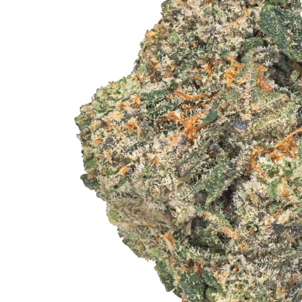 Gelatti - Image 3