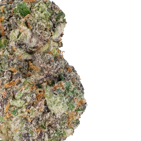 Gelato 45 - Image 3