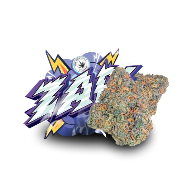 ZAP! - Image 3