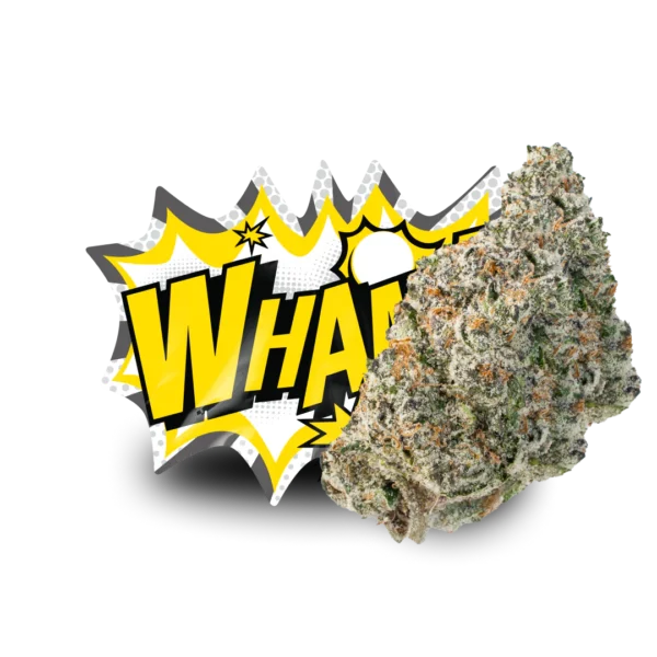 WHAM! - Image 4