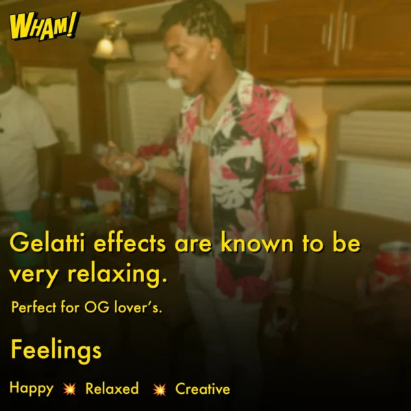 Gelatti - Image 5