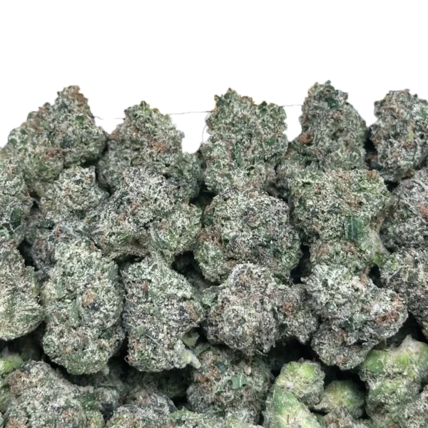 Bulk Exotic Smalls