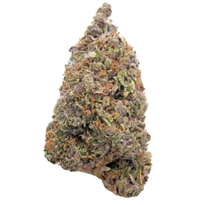 Bulk Indoor Flower